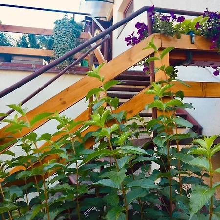 Apartament Delux Z Tarasem * Sierpc