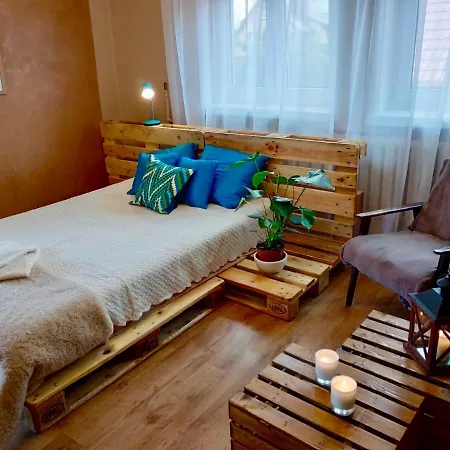 Homestay Apartament Delux Z Tarasem Sierpc