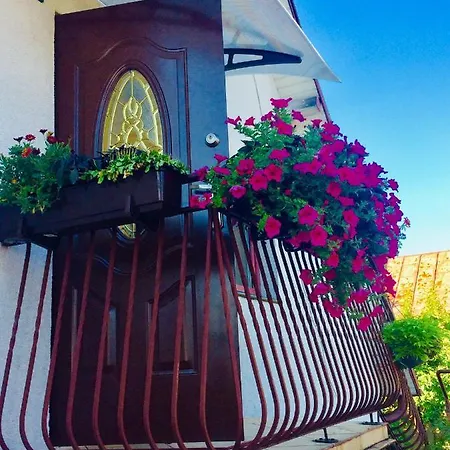 Apartament Delux Z Tarasem Homestay *